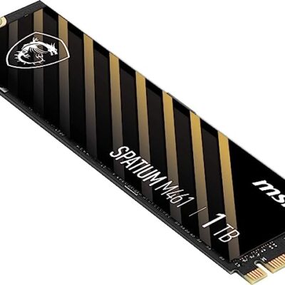 Msi SPATIUM M461 PCIe 4.0 NVMe M.2 SSD